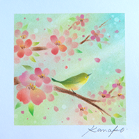 桜とメジロ 内田加奈子オリジナルパステルアート作品